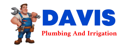 Trusted plumber in REX